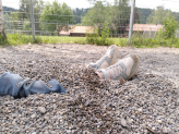 Fotoalbum