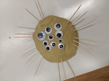 Fotoalbum