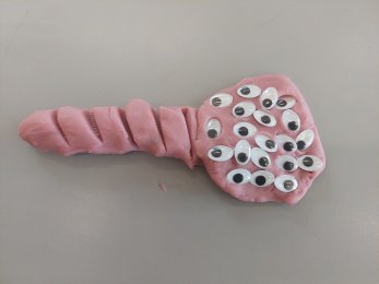Fotoalbum